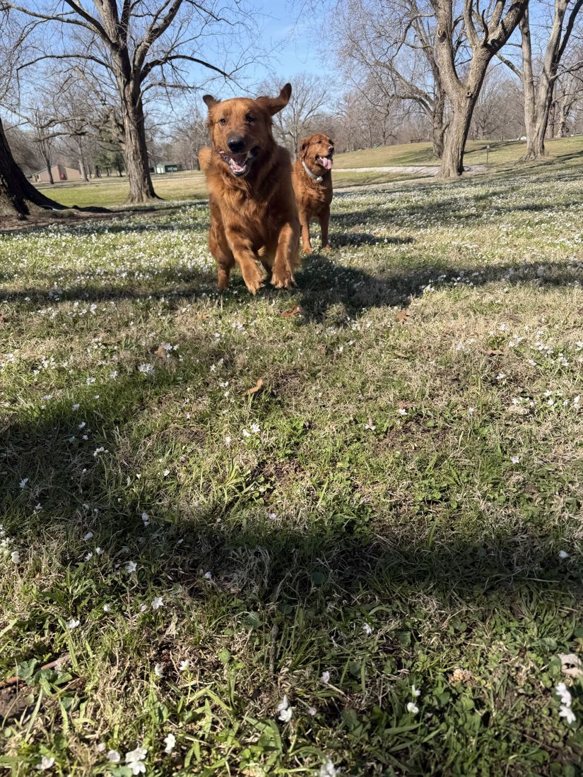 Prescott running across the park