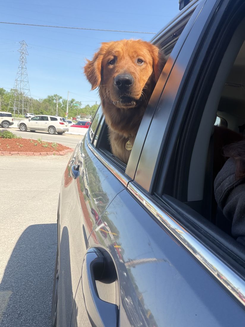 Prescott riding with his head out the window
