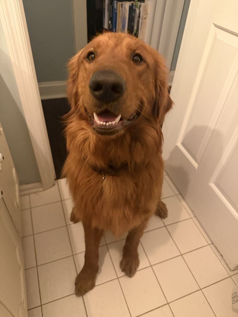 Prescott smiling in the hallway