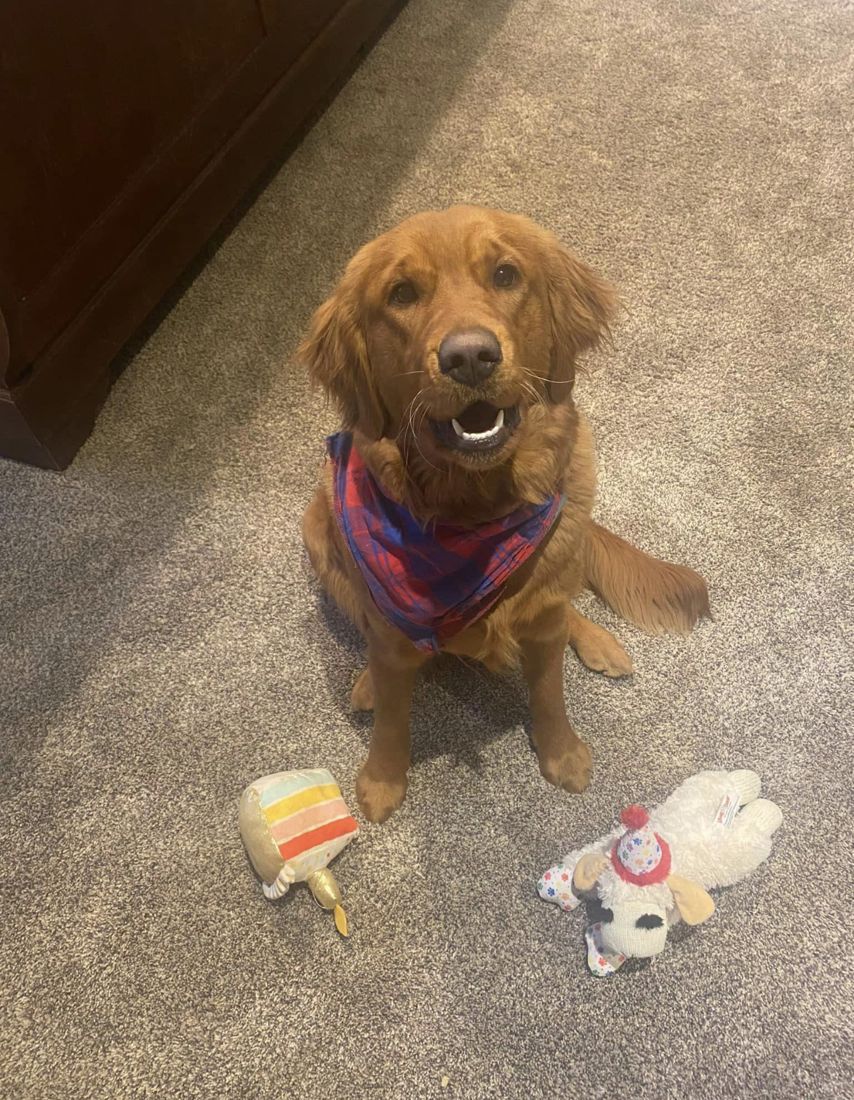 Shelby with her toys