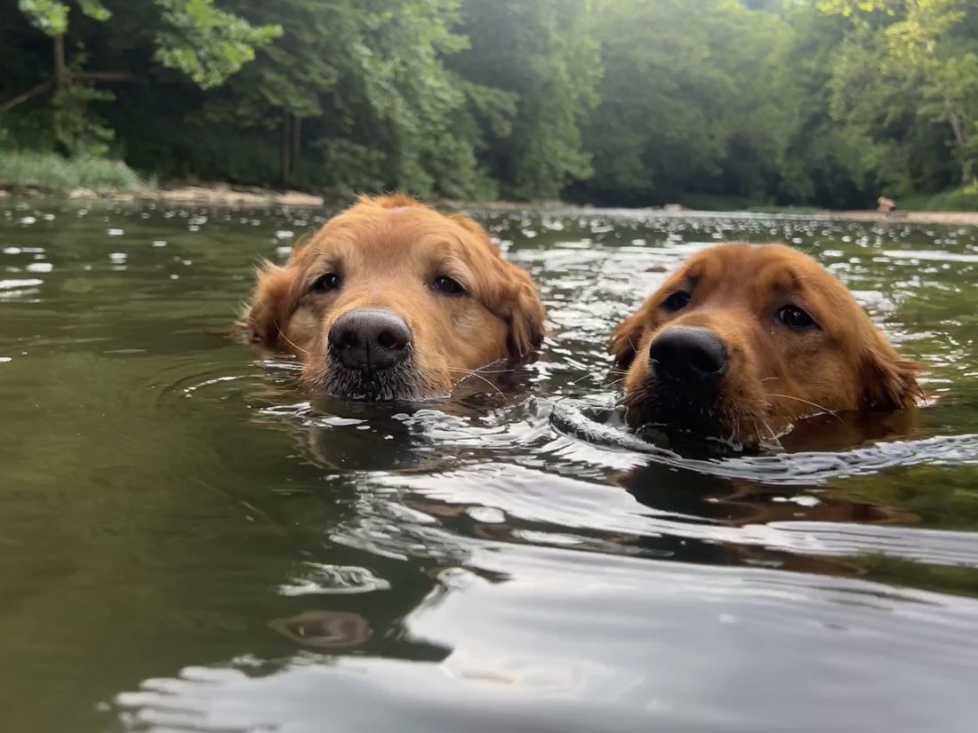 Shelby swimming with a friend