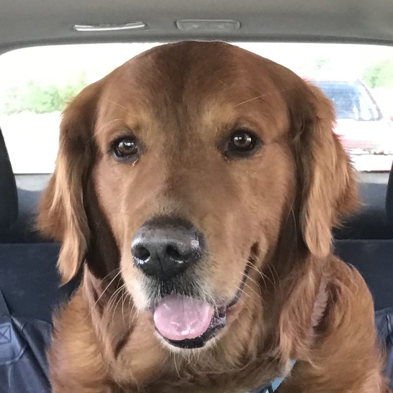 Opie smiling from the back seat