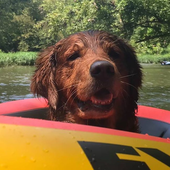 Opie riding in a raft on the river