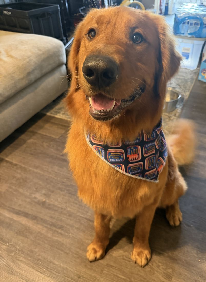 Prescott grinning in a bandana