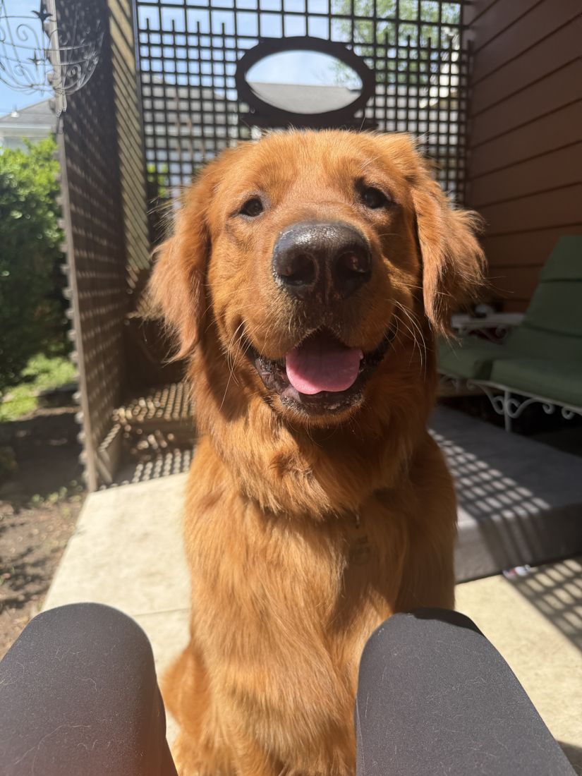Prescott smiling on the patio