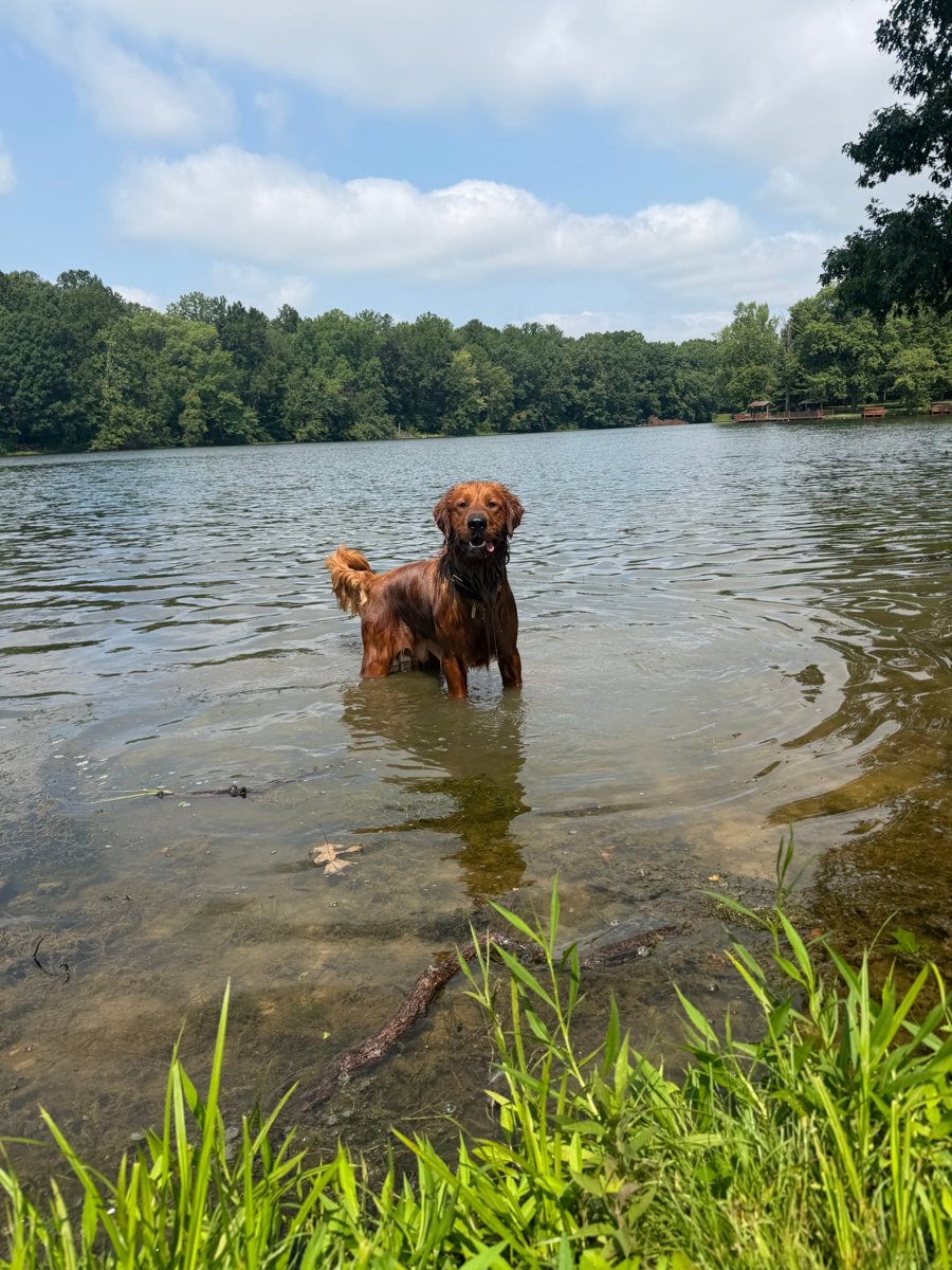 Prescott standing in a lake