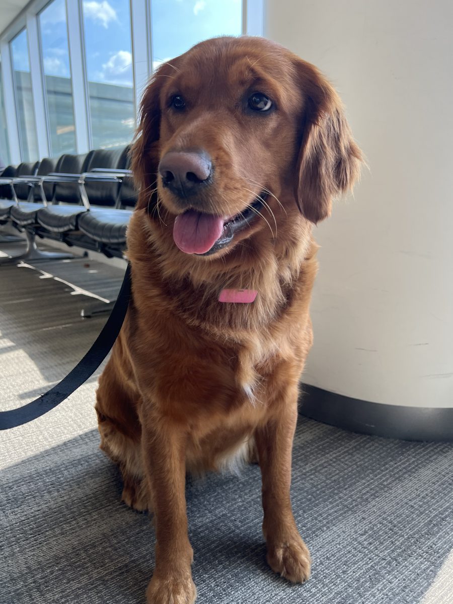 Shelby smiling
