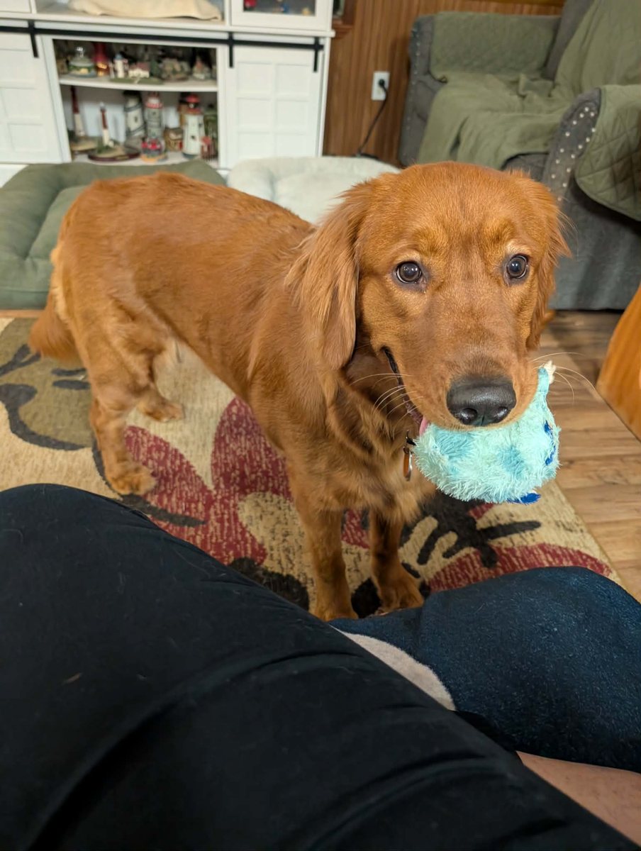 Subi holding a plush toy