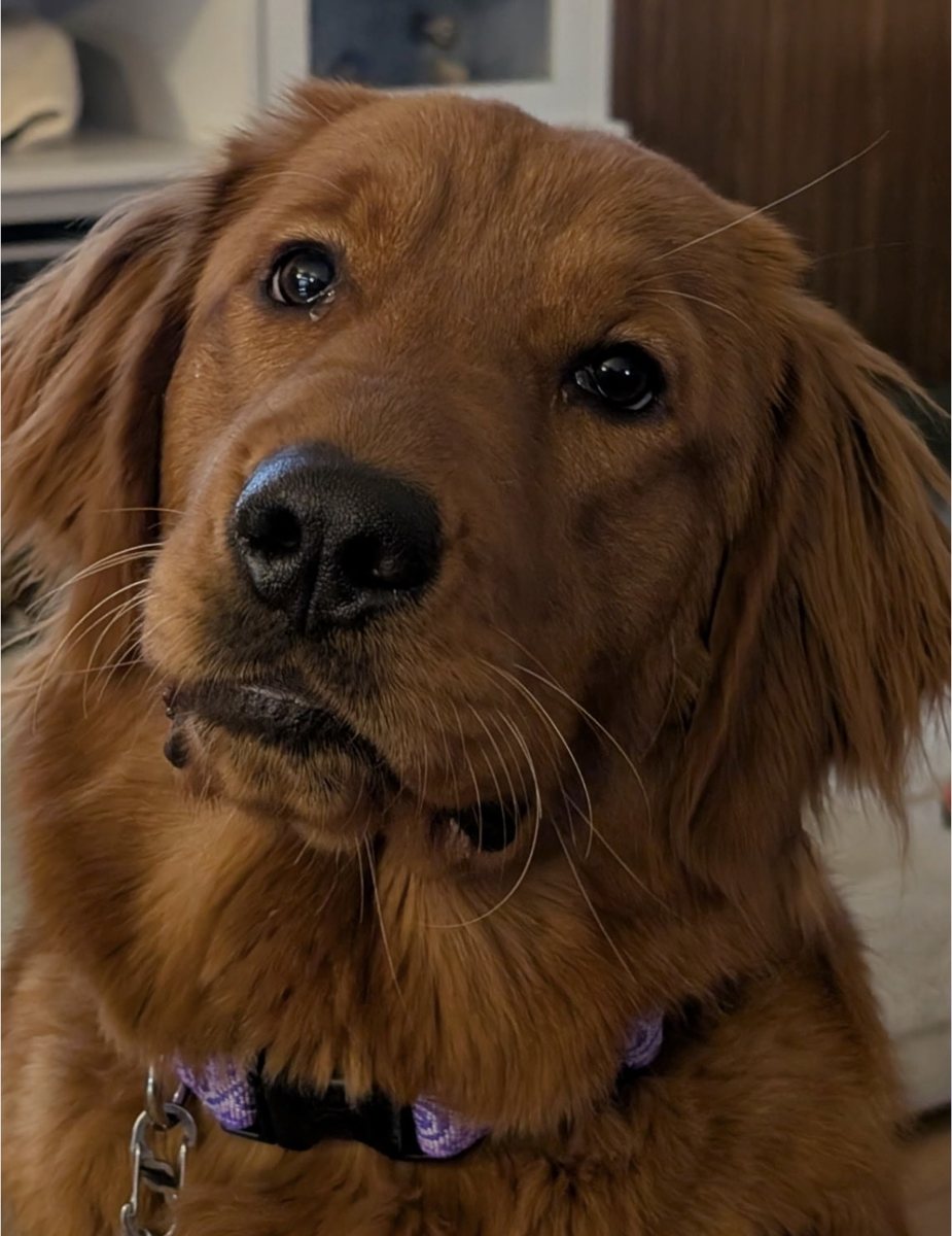 Subi looking up at the camera